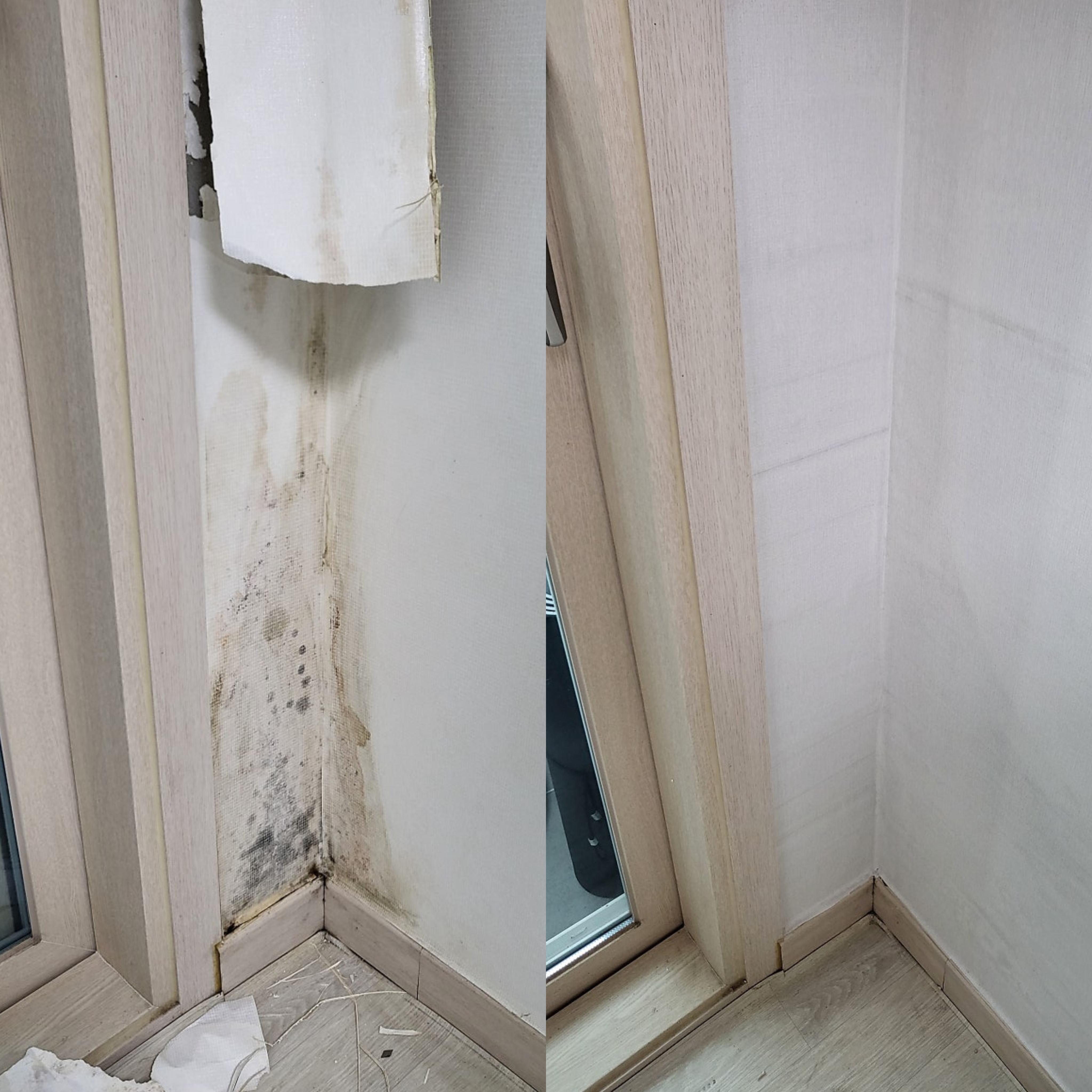 곰팡이 벽면 도배 시공 전후